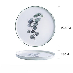Japanese dinner plate