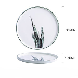 Japanese dinner plate