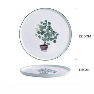 Japanese dinner plate