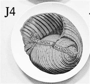 Cool Plates