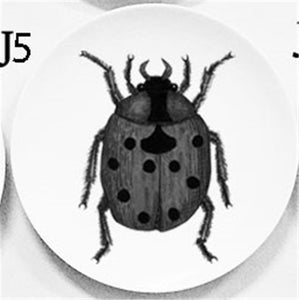 Cool Plates