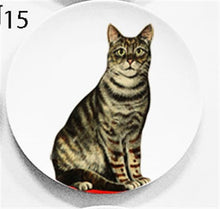 Load image into Gallery viewer, Cool Plates
