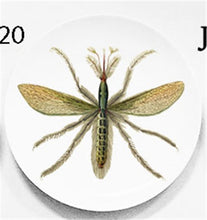 Load image into Gallery viewer, Cool Plates
