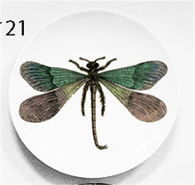 Load image into Gallery viewer, Cool Plates